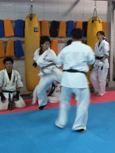 karate7