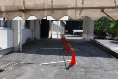 DSCF0646