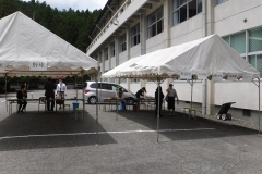 DSCF0655