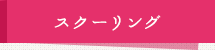 スクーリング